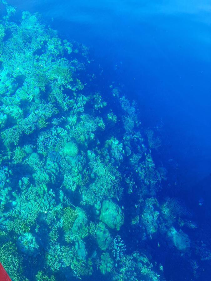 Blue Shark Divers בונאקן מראה חיצוני תמונה
