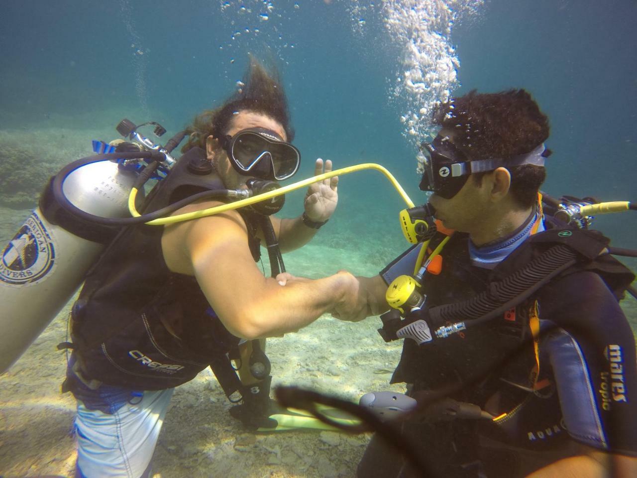 Blue Shark Divers בונאקן מראה חיצוני תמונה