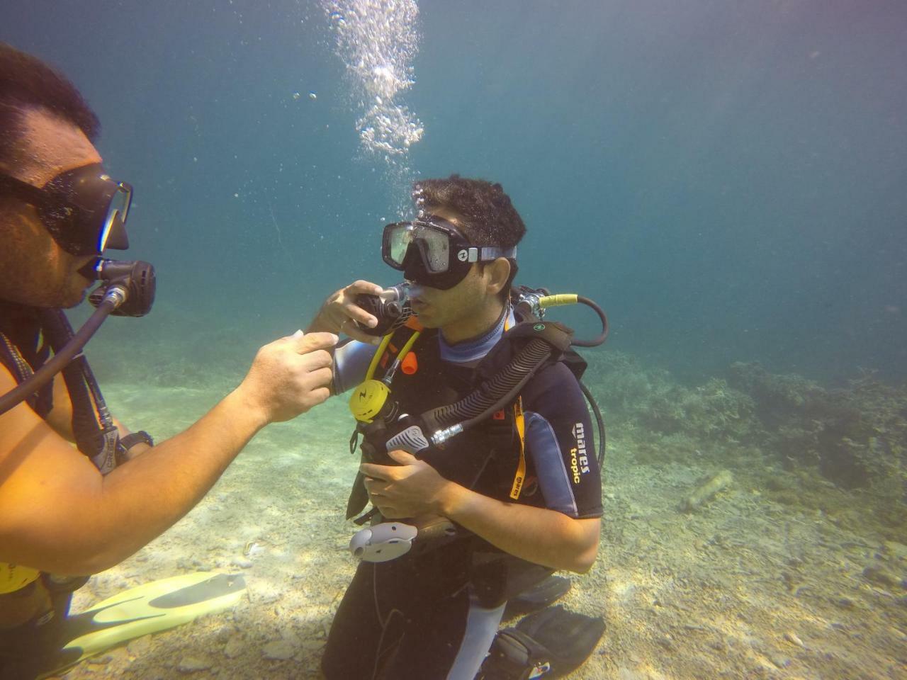 Blue Shark Divers בונאקן מראה חיצוני תמונה